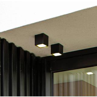 LUTEC GEMINI udendørs LED loftlampe, H8,5 cm, IP65, mørk grå