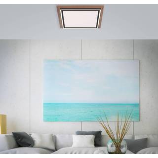 Paul Neuhaus Palma LED-loftlampe CCT kvadrat
