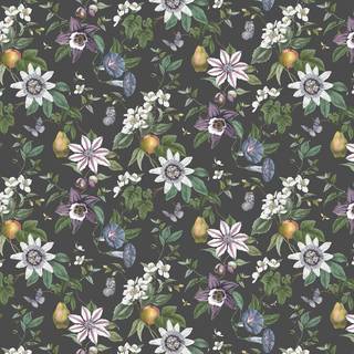 Albany Wallpaper Sierra Floral FD43060