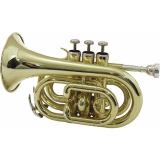Dimavery TP-300 Bb Pocket Trumpet, gold TILBUD NU trompet lomme guld