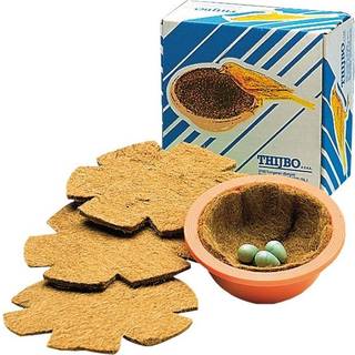 Thijbo redeindlæg til kanarier