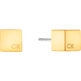 Calvin Klein MERIDIAN Øreringe 18 kt. Forgyldt Rustfrit Stål 35000246 - Dame - Gold