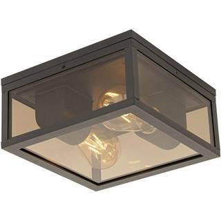 Loftslampe sort med røgglas 2-lys IP44 - Charlois