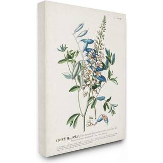 Stupell Industries Botanical Plant Illustration Flowers and Leaves Vintage Design Canvas Wall Art Multi-Color