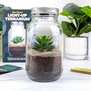 Solcelle Terrarium