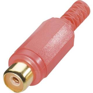 BKL Electronic 0105002/T Cinch-stik Tilslutning, lige