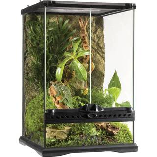 ExoTerra terrarium 30 x 30 x 45 cm.