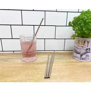 Set Of 4 Reusable Stainless Steel Straws With Cleaning Brush