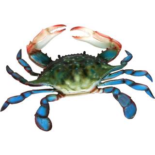 Blue Crab Tiki Bar Nursery - Plastic Crab Toy Bath Toys For Sea - Realistic Science Education Ocean Sea Animals Figures - Creature Toys Gift til