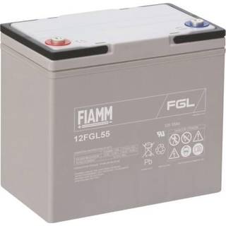 Fiamm 10 Års Blybatteri 12V/55Ah.