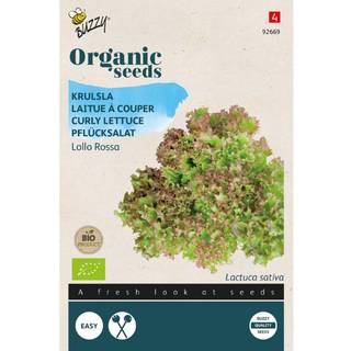 Buzzy Organic salat Lollo Rossa, økologiske frø