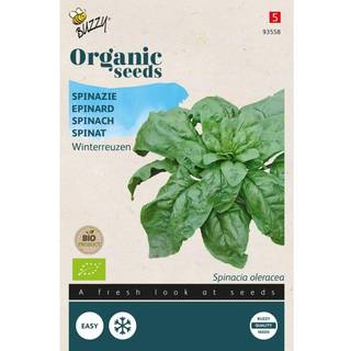 Buzzy Organic spinat Securo, økologiske frø