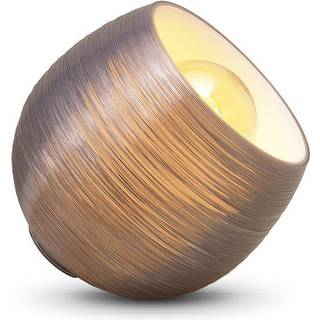 Philips 3D Creation Shellsea Shell Bordlampe - Grå