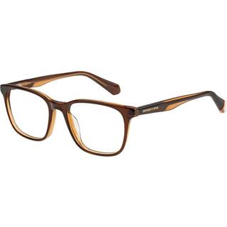Superdry SDO 3005 103 49 Briller Mænd Brun - Transparent Brown - 49mm