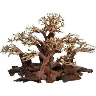 4FISH Tree roots Mini forest 40x20x25 cm