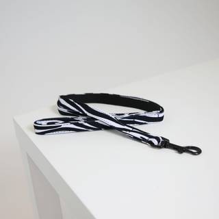 Kentucky Dog Lead Lizard - Brun - 120 cm
