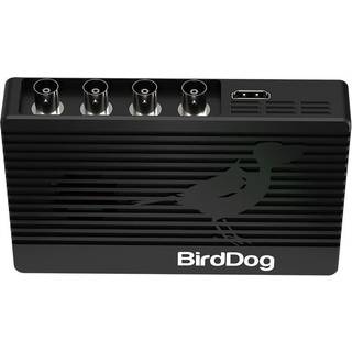 BirdDog 4K QUAD NDI Encoder/Decoder