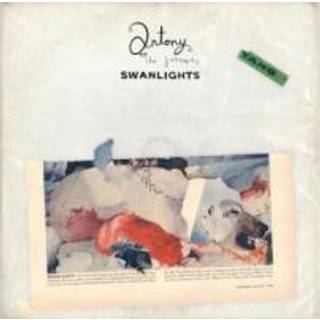 Antony & the Johnsons - Swanlights