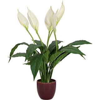 Europalms Lily Peace, artificial plant, 49cm TILBUD NU