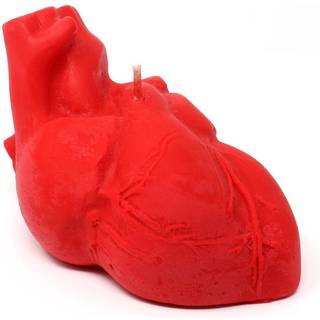 Rote Anatomische Herz Kerze