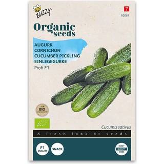 Buzzy Organic sylteagurk Profi F1, økologiske frø