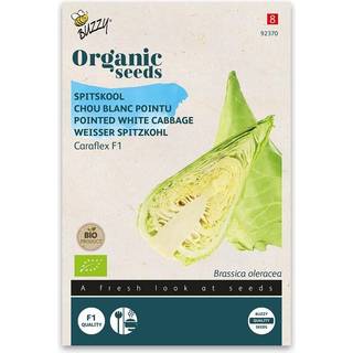 Buzzy Organic spidskål Caraflex F1, økologiske frø