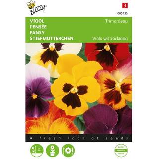Buzzy stedmoderblomst Trimardeau Mix frø