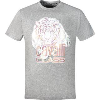 Cavalli Class Gray Cotton T-Shirt
