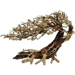 4FISH Tree roots Elegant Brazilian tree 70x23x50cm