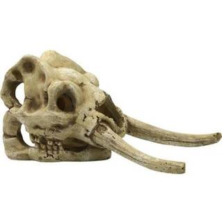 4FISH Skull 23.5x12.1x11.8 cm