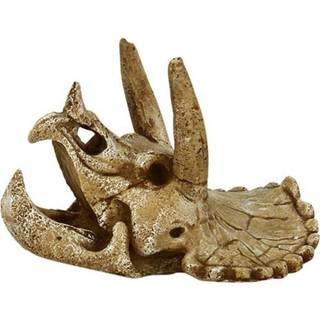 4FISH Skull 14.3x12x9.7 cm