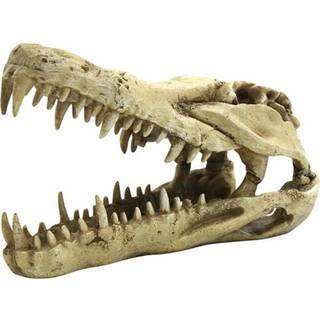 4FISH Skull 22x10.3x13 cm