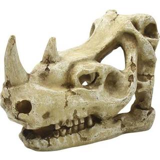 4FISH Skull 16x9.5x10.7 cm