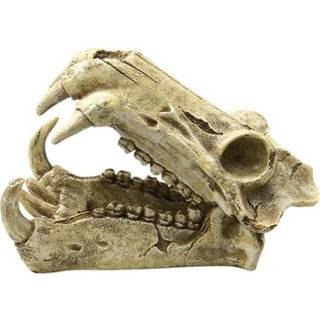 4FISH Skull 20x11x13 cm