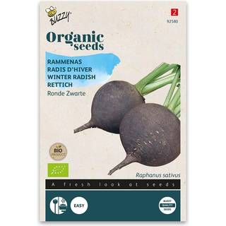 Buzzy Organic ræddike Black Spanish Round, økologiske frø