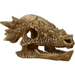 4FISH Skull 15.3x11x7.5 cm