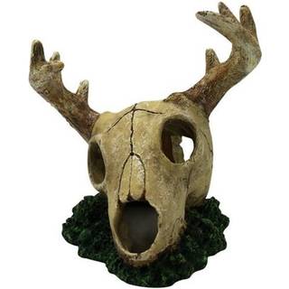 4FISH Skull 14x15x15.8 cm