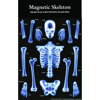 Customworks Magnet Sets Magnetic Skeleton - Magnet