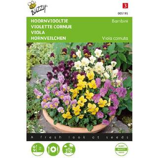 Buzzy hornviol Bambini Mix frø