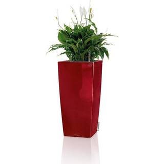 LECHUZA CUBICO Premium rød højglans 22 cm