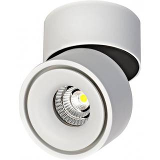 BRUMBERG LED-loftspot Circle Maxi, Ø 10 cm, hvid