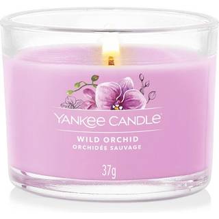 Wild Orchid