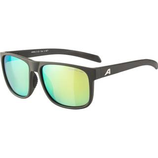 Sunglasses Alpina Nacan III Coffee Grey Matt