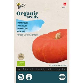Buzzy Organic græskar Rouge Vif d&#39;Etampes, økologiske frø