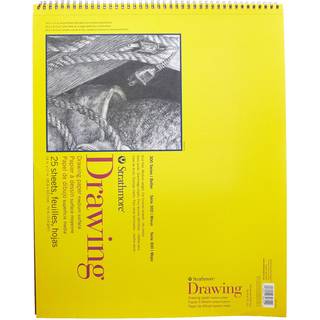 Strathmore 300 -serie Tegning af papirpude Top Wire Bound 14x17 tommer 25 ark (70LB114G) - Kunstnerpapir til voksne og studerende - Tr?kulfarvet