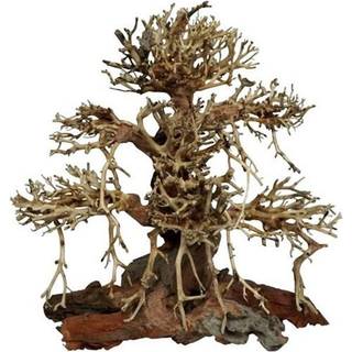 4FISH Tree roots Old Bonsai 20x12x20 cm