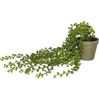 Hænge Plante I Potte L.65cm