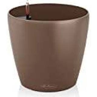 Classico Color Muskat, stor 43 cm