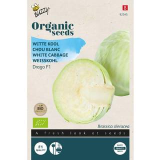 Buzzy Organic hvidkål Drago F1, økologiske frø