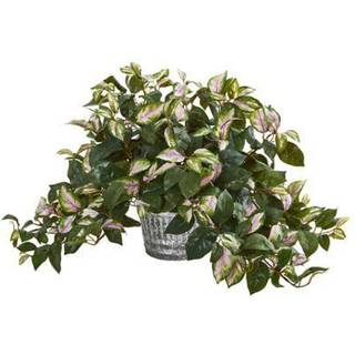 N?sten naturlig Hoya kunstig plante i vintage h?ngende metalplanter